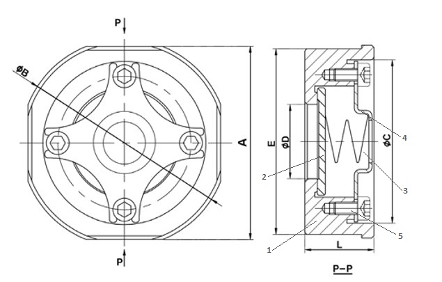 Клапан обратный Tecofi CA6469 1’’1/4 Ду32 Ру40 осевой, межфланцевый, корпус — сталь